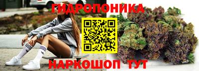 СК Донской