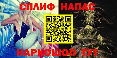 СК Донской